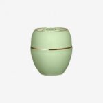 تندرکر سیب سبز